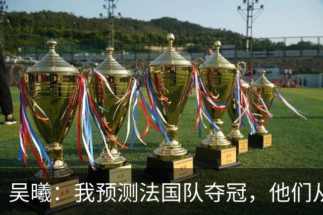 吴曦：我预测法国队夺冠，他们从个人能力到人员配置都非常强